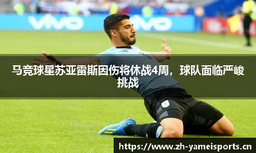 亚美体育官网