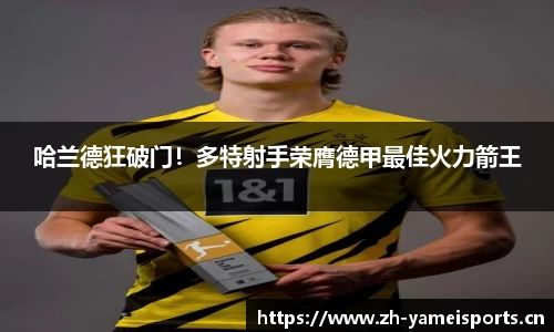 亚美体育官方网站